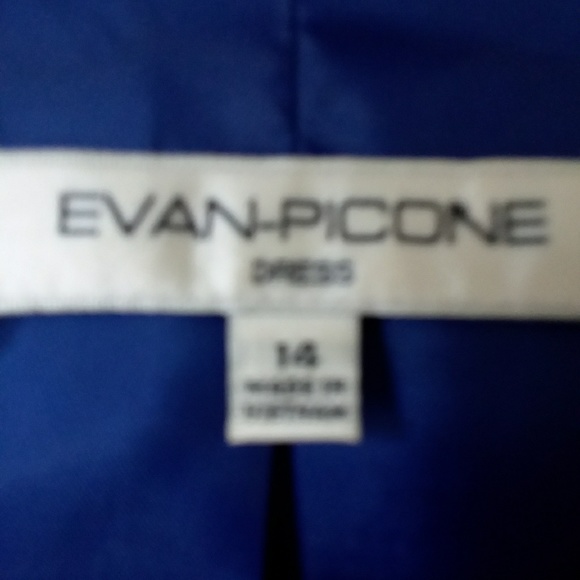 Evan Picone Party Dress - Picture 6 of 6